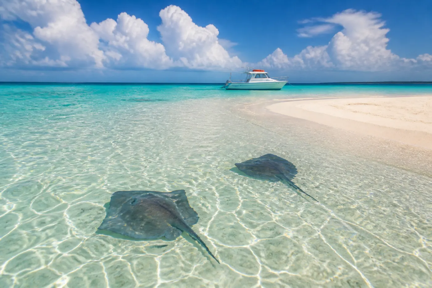 Grand Cayman Cruise Port Guide: Best Things to Do